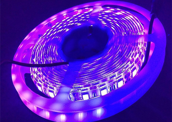 자주빛 UV 12v 24v 자주빛 LED 라이트 스트립 395nm UV 주도하는 테이프 5050 스드