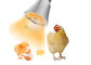 닭 농장 방수 LED 조명 조명 디 밍이 가능한 9W
