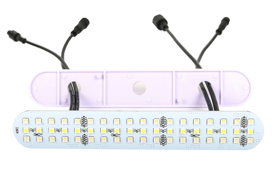 24V DMX512 RGBW LED 픽셀 모듈 라이트 엔터테인먼트 승차용 방수 IP67