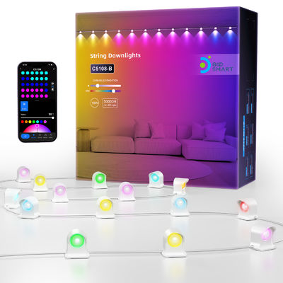 주소형 RGB IP68 방수 LED Eave 라이트 크리스마스 장식
