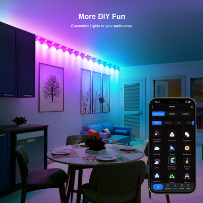 주소형 RGB IP68 방수 LED Eave 라이트 크리스마스 장식