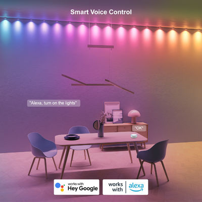 주소형 RGB IP68 방수 LED Eave 라이트 크리스마스 장식